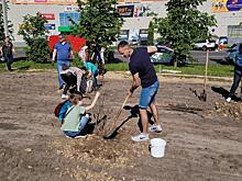 В Курской области в Железногорске высадили аллею предпринимателей