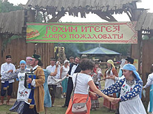 Внезапное нашествие гостей