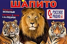Будет ярко. Московский цирк-шапито "Полосатый рейс" впервые в Челябинске