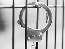 Правкомиссия рассмотрела предложение запретить надевать наручники на женщин