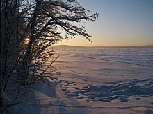 Минэкологии Челябинской области призывает южноуральцев не мусорить на водоемах