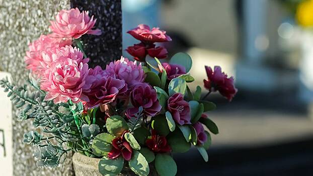 МВД назвало признаки поддельных цветочных онлайн-магазинов