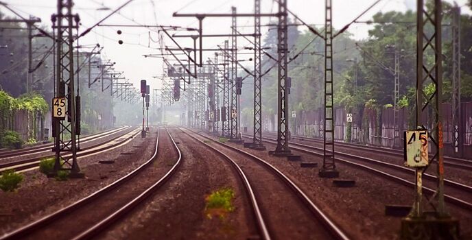 Двух жителей Кирова за хулиганство сняли с поезда в Ростовской области