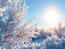 Синоптики дали прогноз на последний рабочий день уходящего года