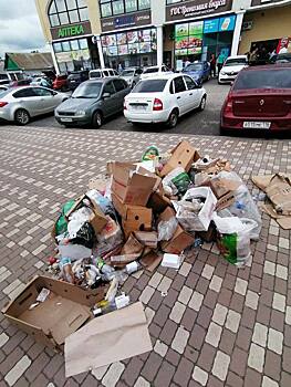 Жители Соль-Илецка возмущены свалкой в центре города