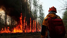 Огонь наступает: как в Якутии борются с лесными пожарами