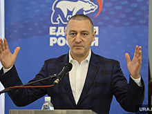 Депутат ГД Ильтяков считает добрыми муравьев в России