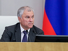 Володин: бюджет РФ должен защищать интересы россиян