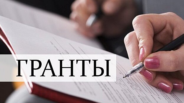 30 млн рублей распределит Правительство Вологодской области между НКО региона