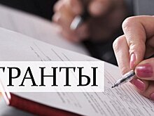 30 млн рублей распределит Правительство Вологодской области между НКО региона