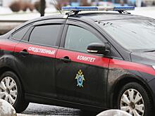 СК прокомментировал сообщения о причастности сына депутата ГД к убийству