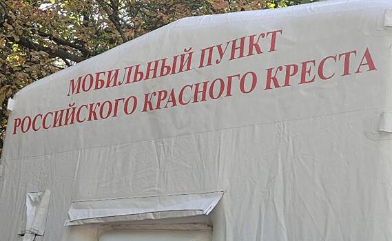 В Курском отделении Красного Креста можно получить психотерапевтическую помощь