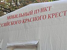 В Курском отделении Красного Креста можно получить психотерапевтическую помощь