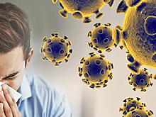 В Новосибирске начала расти заболеваемость коронавирусом