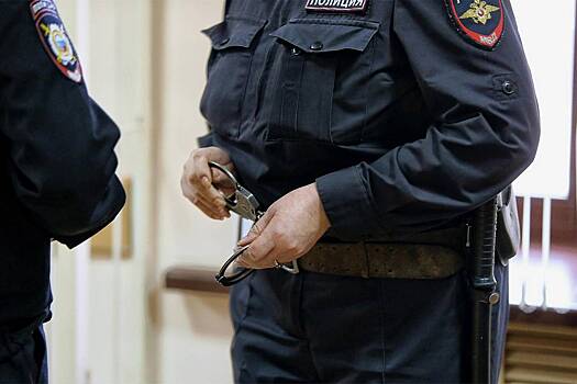 Москвич украл сумку медицинского работника в электричке и попал под суд