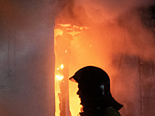 Родители двоих детей погибли при пожаре в Подмосковье