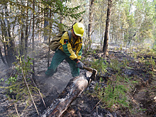 Площадь лесных пожаров в Якутии стремительно увеличивается