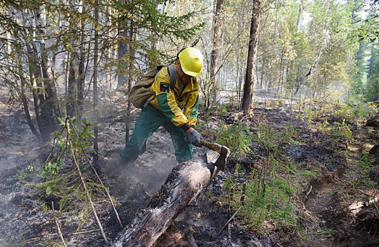 Площадь лесных пожаров в Якутии стремительно увеличивается