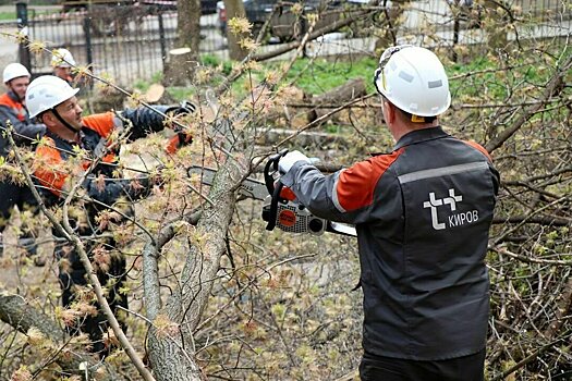 Сотрудники «Т Плюс» очистили от кустарника улицу Спасскую