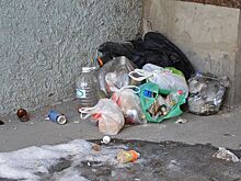 Российская звезда будет зазывать тюменцев на субботники