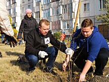 В Кургане в Заозёрном появилась Яблочная аллея. ФОТО