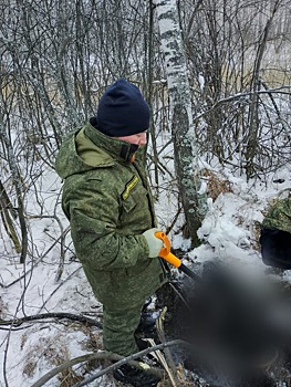 Правоохранители нашли пропавшего в Кузбассе мужчину убитым в болоте