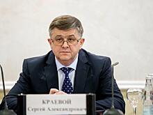 Первого замминистра подвёл плагиат