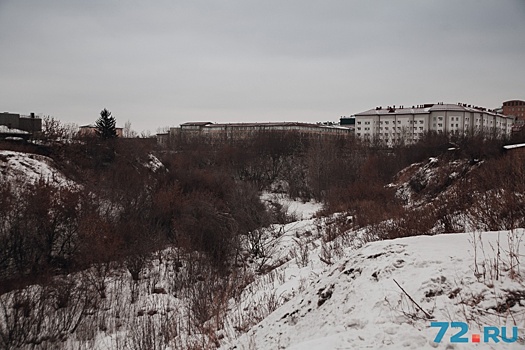 На логе реки Тюменки построят студенческое общежитие и парковку: общественники против