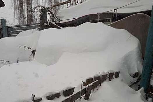 Myslo: пенсионерка оказалась заблокирована снегом в частном доме в Туле