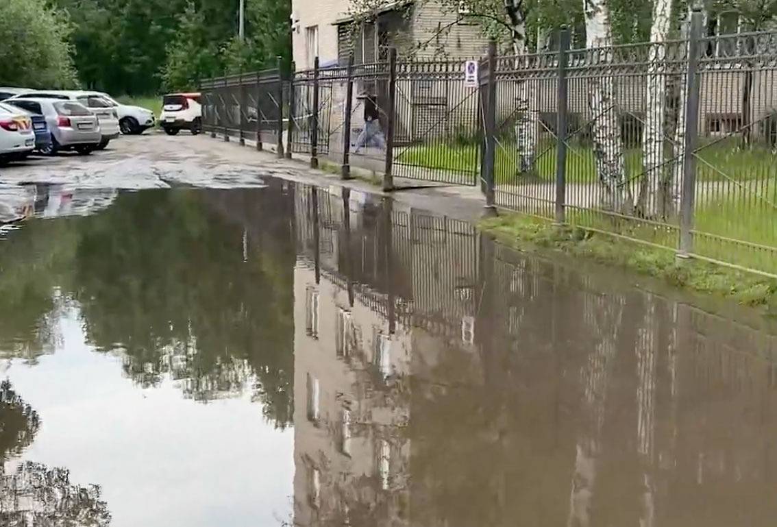 В Петербурге пожаловались на 15-летнюю лужу