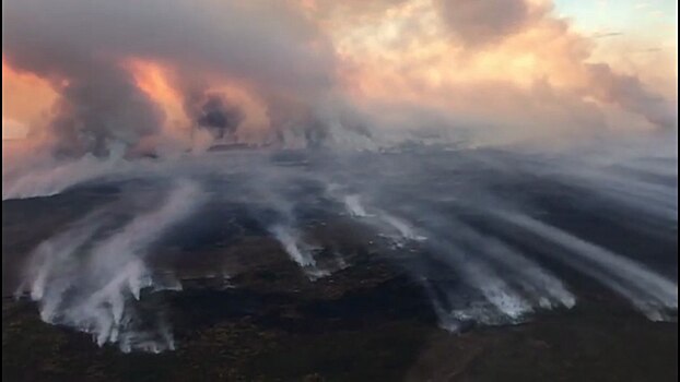 С начала пожаров в Якутии сгорело 2,5 млн гектаров леса