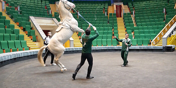 Лучшие в мире: туркменская конная группа «Галкыныш» представила новую программу