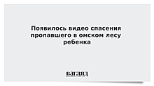 Появилось видео спасения пропавшего в омском лесу ребенка