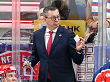 Воробьев признал, что дал указание Долженкову ударить Тирни по рукам: «Он должен был на вбрасывании рубануть, немножко перестарался»