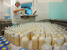 Уральский застройщик предложил изымать земли под муниципальные объекты