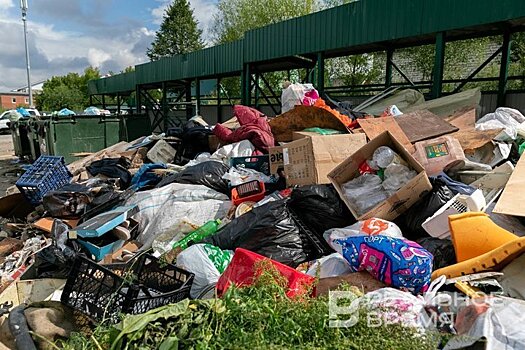 "Школьный экопатруль" подвел итоги десятилетней работы: 51 тысяча сообщений о чистоте Татарстана