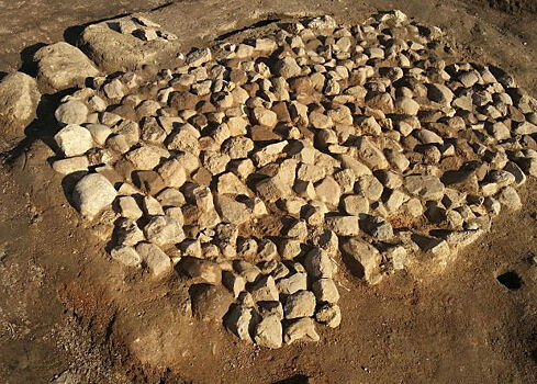 Доисторические пивные зерна нашли в Швеции