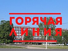 Петрозаводчан приглашают задать интересующие вопросы на горячих линиях сотрудников администрации города