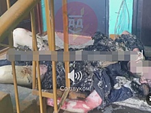 Следком начал проверку после сообщений о взрыве гранаты в жилом доме в Новокузнецке