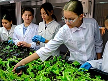 В Астрахани откроют агроклассы для будущих специалистов сельского хозяйства