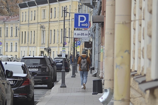 В Петербурге становится больше недовольных платными парковками: как и с чем они борются