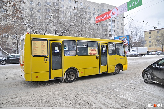 В мэрии Екатеринбурга усомнились в честности горожан, которые выступили против отмены маршрута № 024