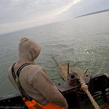 Более 900 тысяч рублей ущерба морским биоресурсам Азовского моря нанесли промысловики