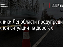 Дорожники Ленобласти предупредили о сложной ситуации на дорогах