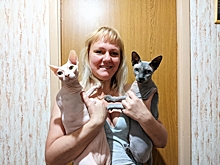 Замурчательные отношения. Изучаем кошачий язык с помощью специалистов