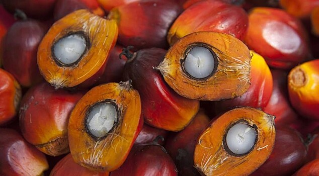 Индонезия и Малайзия протестуют против запрета пальмового масла в ЕС