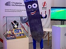«Нам хотелось быть первыми и яркими»: директор стадиона «Калининград» — о создании маскота Эдика
