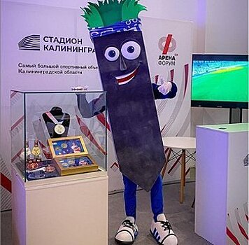 «Нам хотелось быть первыми и яркими»: директор стадиона «Калининград» — о создании маскота Эдика