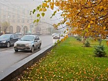 Водителям назвали автомобильные процедуры, которые нужно сделать осенью