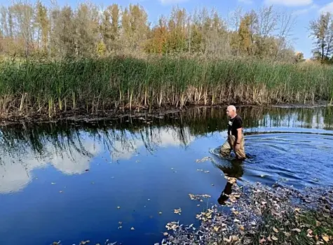 Новокуйбышевский водолаз спасает щук от смерти
